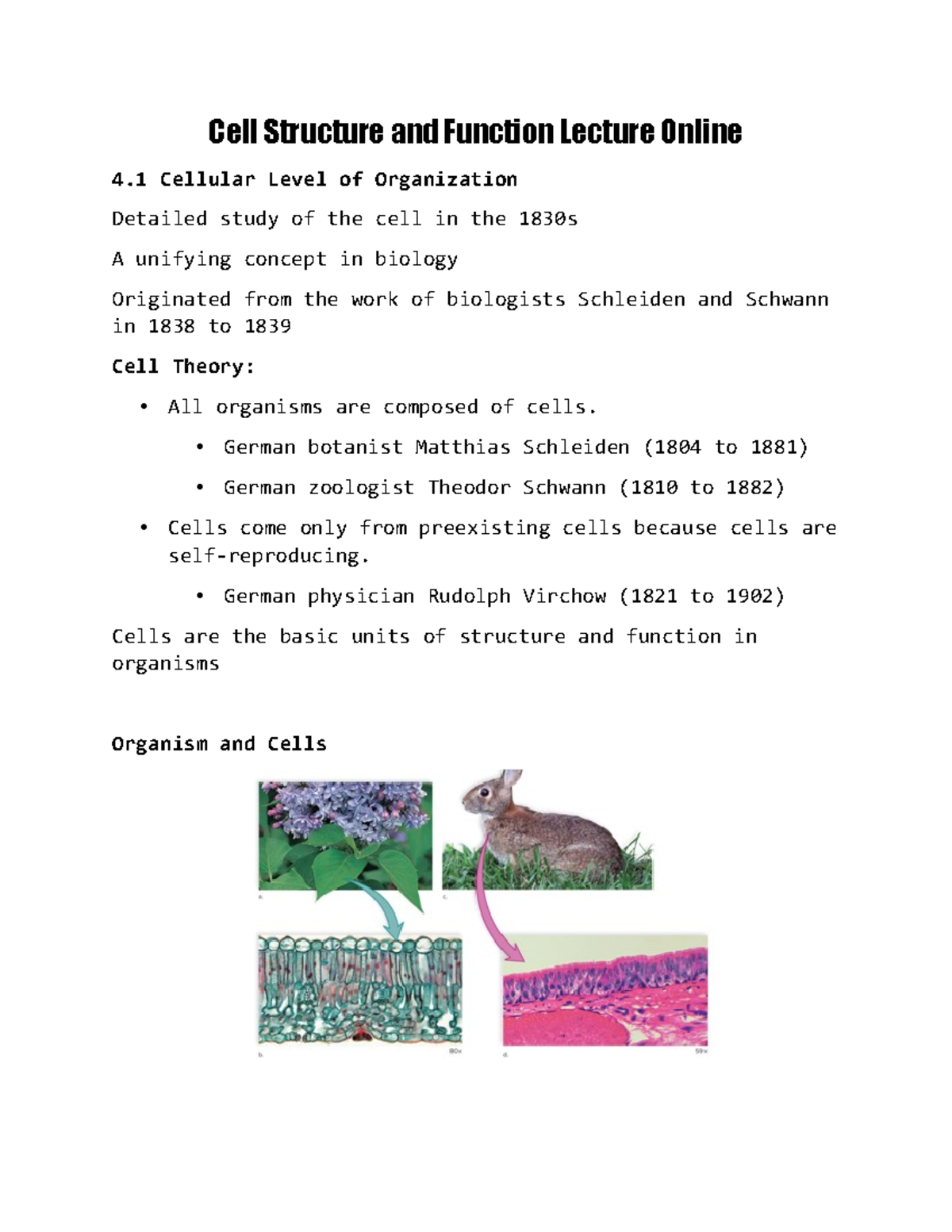Chapter 4 Bio - Lecture notes 4 - Cell Structure and Function Lecture ...