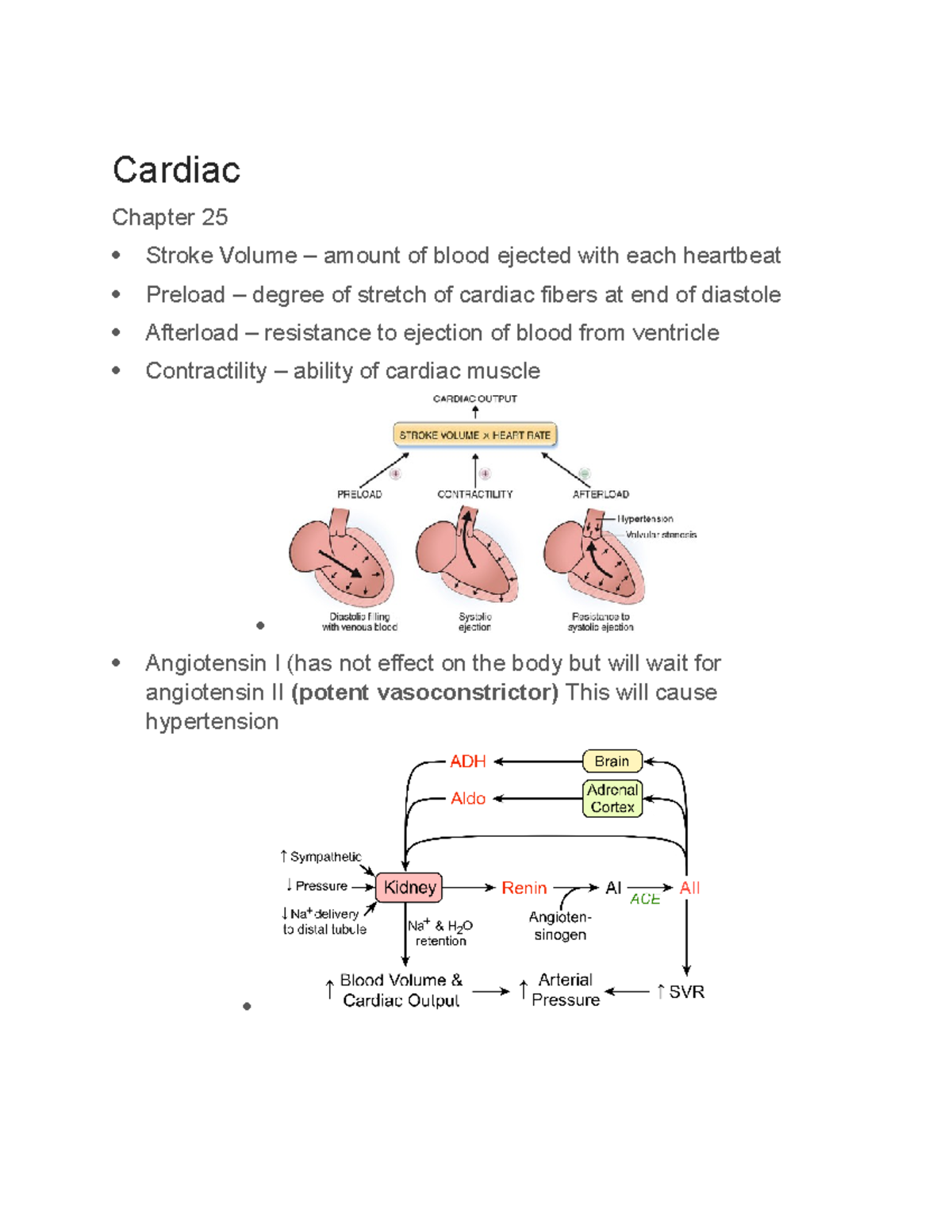 Cardiac Lecture Week 5 - Cardiac Chapter 25 Stroke Volume – amount of ...