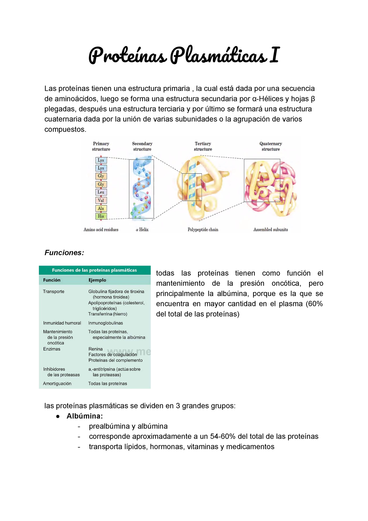 lino linda Pasteles Proteínas Plasmáticas I - Proteínas Plasmáticas I (17/04/2020) Dra. Claudia  Bueno Las proteínas - Studocu
