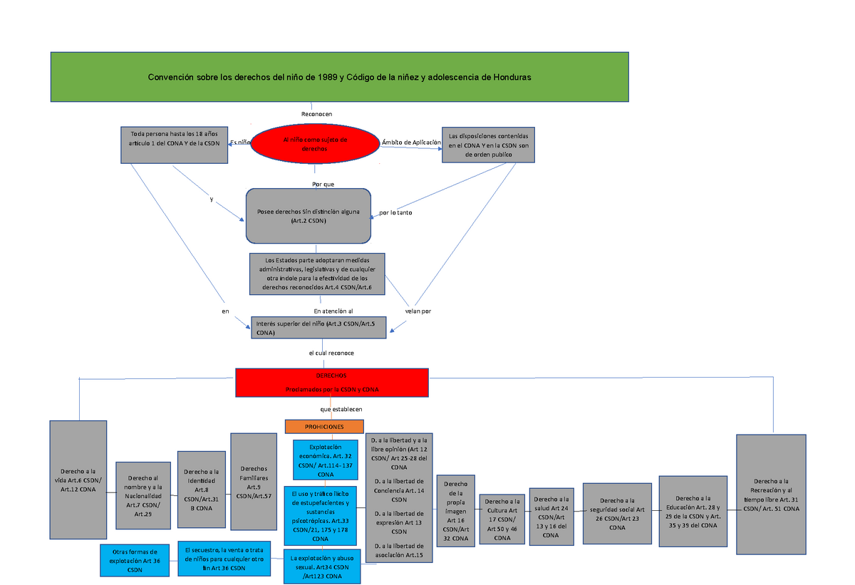 Mapa Conceptual Convención sobre los derechos del niño