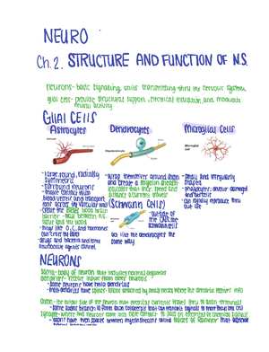 Neuro ch1 notes - NEURO Chi INTRO HISTORY neuroplasticity helpsus to ...