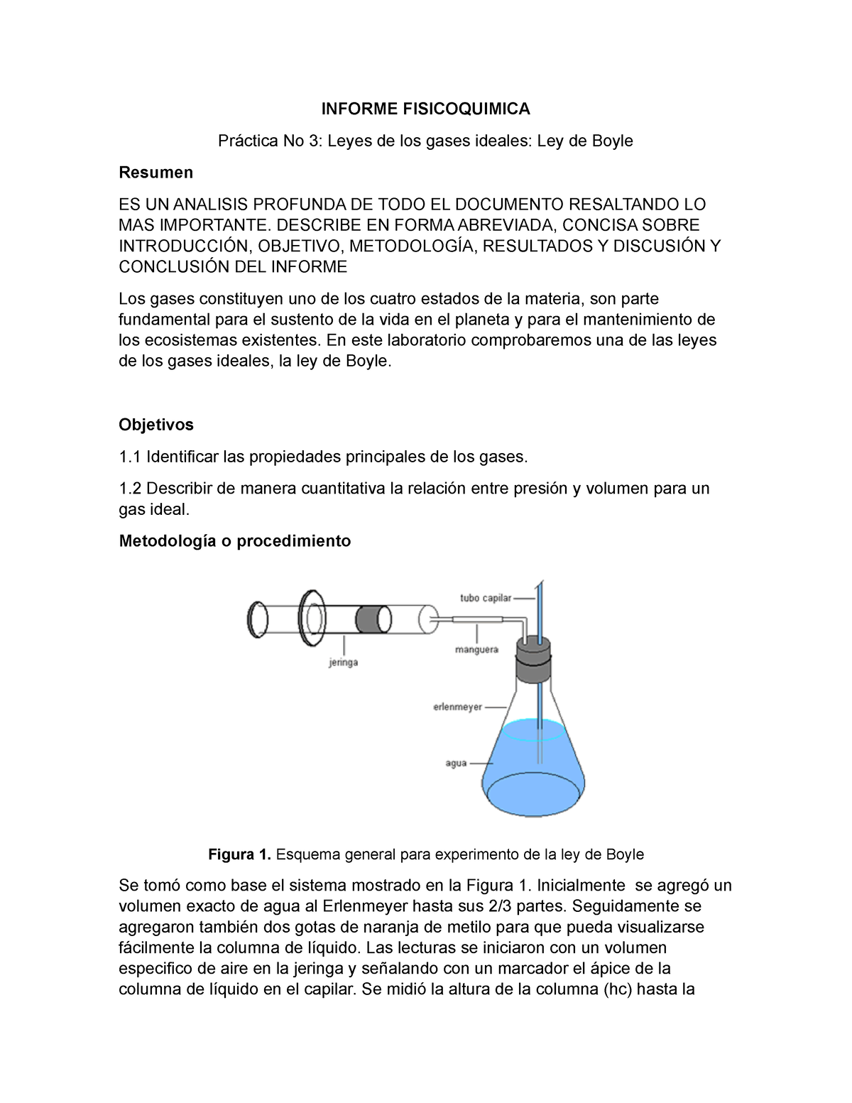 Informe Fisicoquimica 1 Ley De Boyle Informe Fisicoquimica