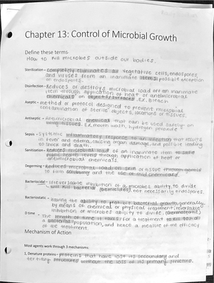 14 Antimicrobial Drugs Learning Objectives - Learning Objectives ...