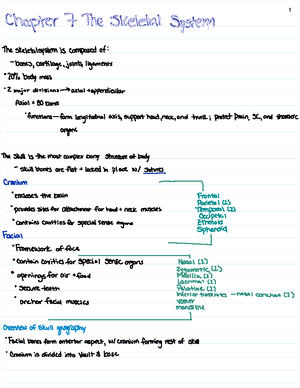 Chapter 11 Nervous System - BIOL 2311 - Studocu