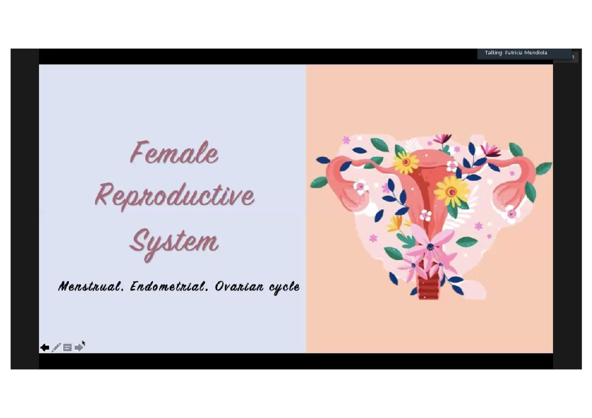 Female Reproductive System - Anatomy and Physiology - Studocu