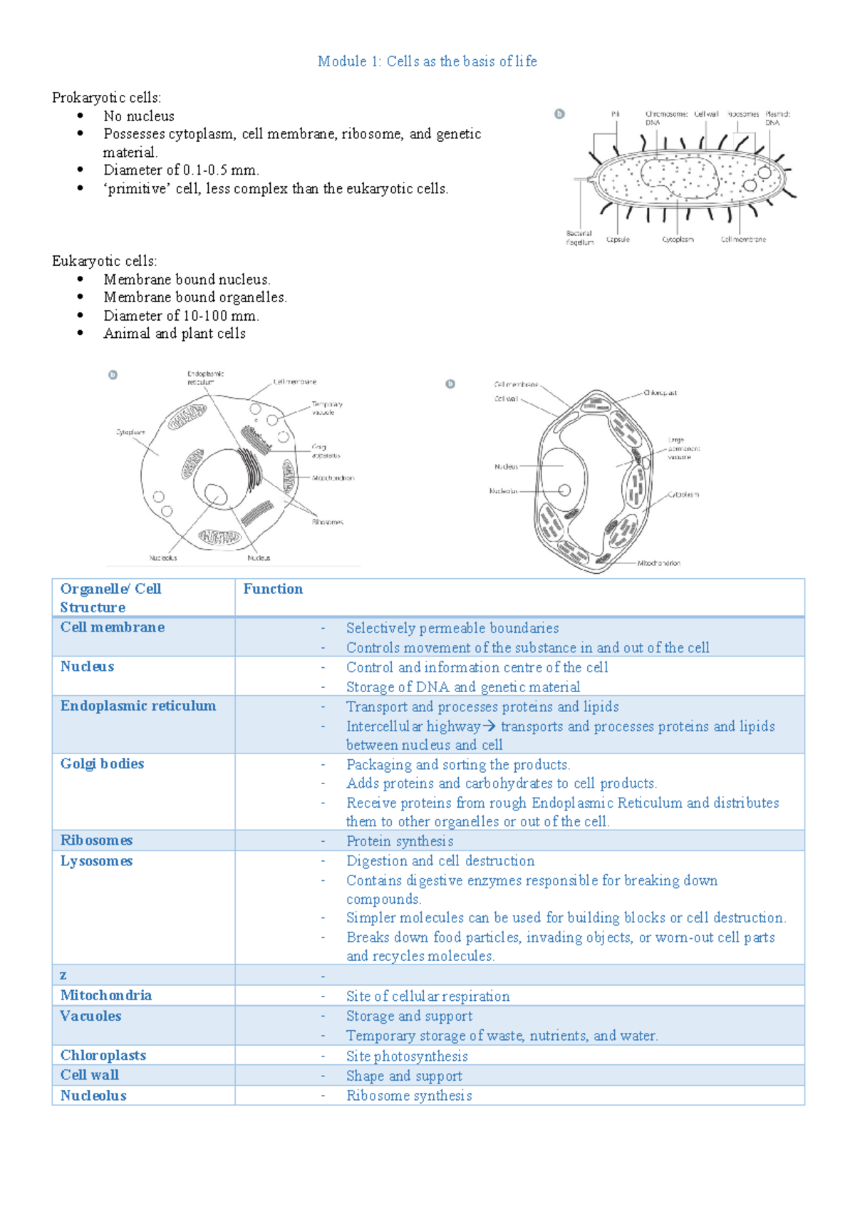 Biology Notes - Module 1: Cells as the basis of life Prokaryotic cells ...