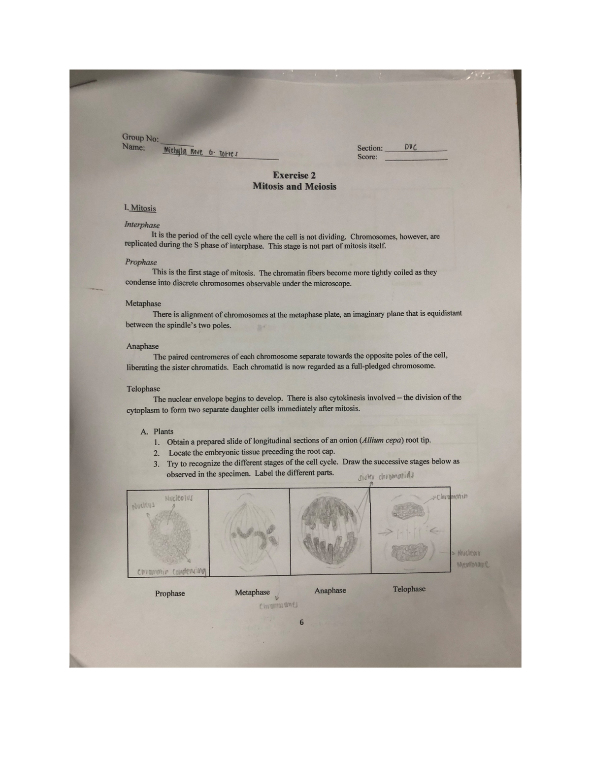 Mitosis And Meiosis This Is Our Activity Doctor Of Dental Medicine   Thumb 1200 1553 