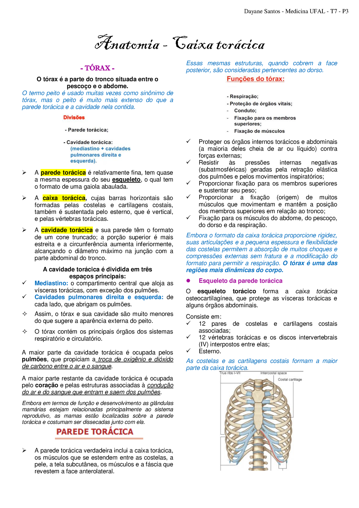 Anatomia - caixa torácica - Anatomia - Caixa tor·cica T”RAX - O tórax é a  parte do tronco situada - Studocu