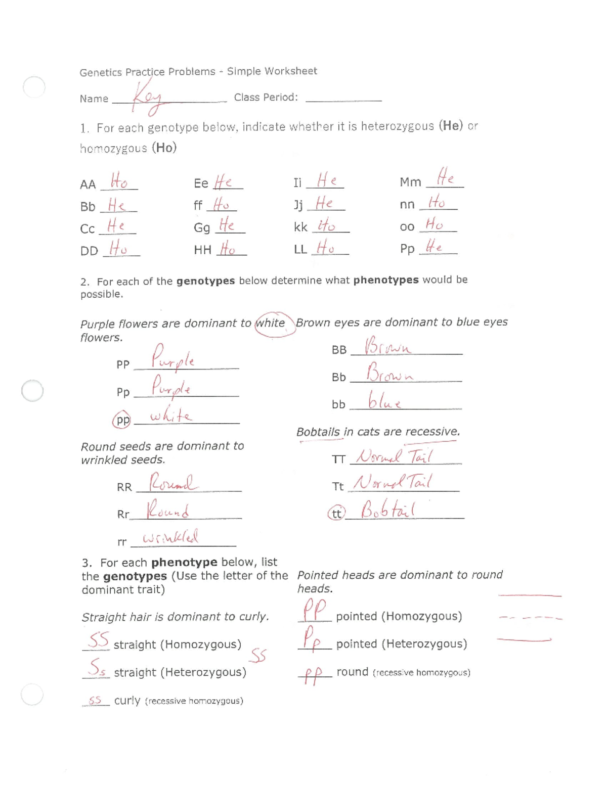KEY - Genetics Simple Review - Studocu