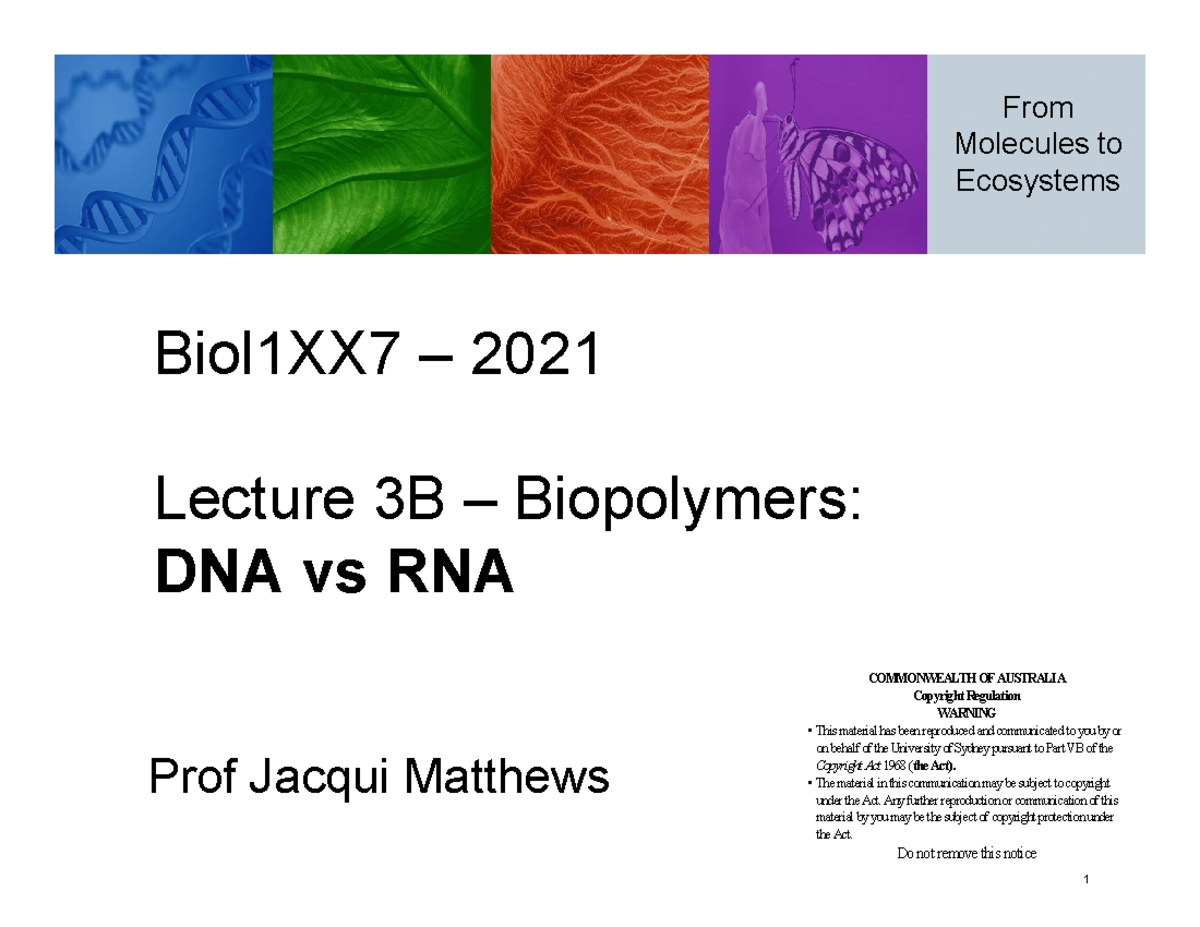 From Molecules Lecture 3B 21 - Biol1007 - StuDocu