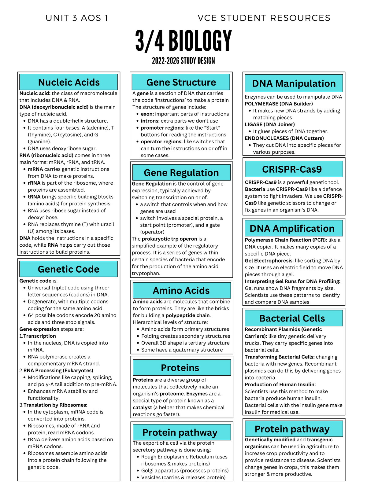 Biology Summary Notes - Nucleic Acids DNA has a double-helix structure ...