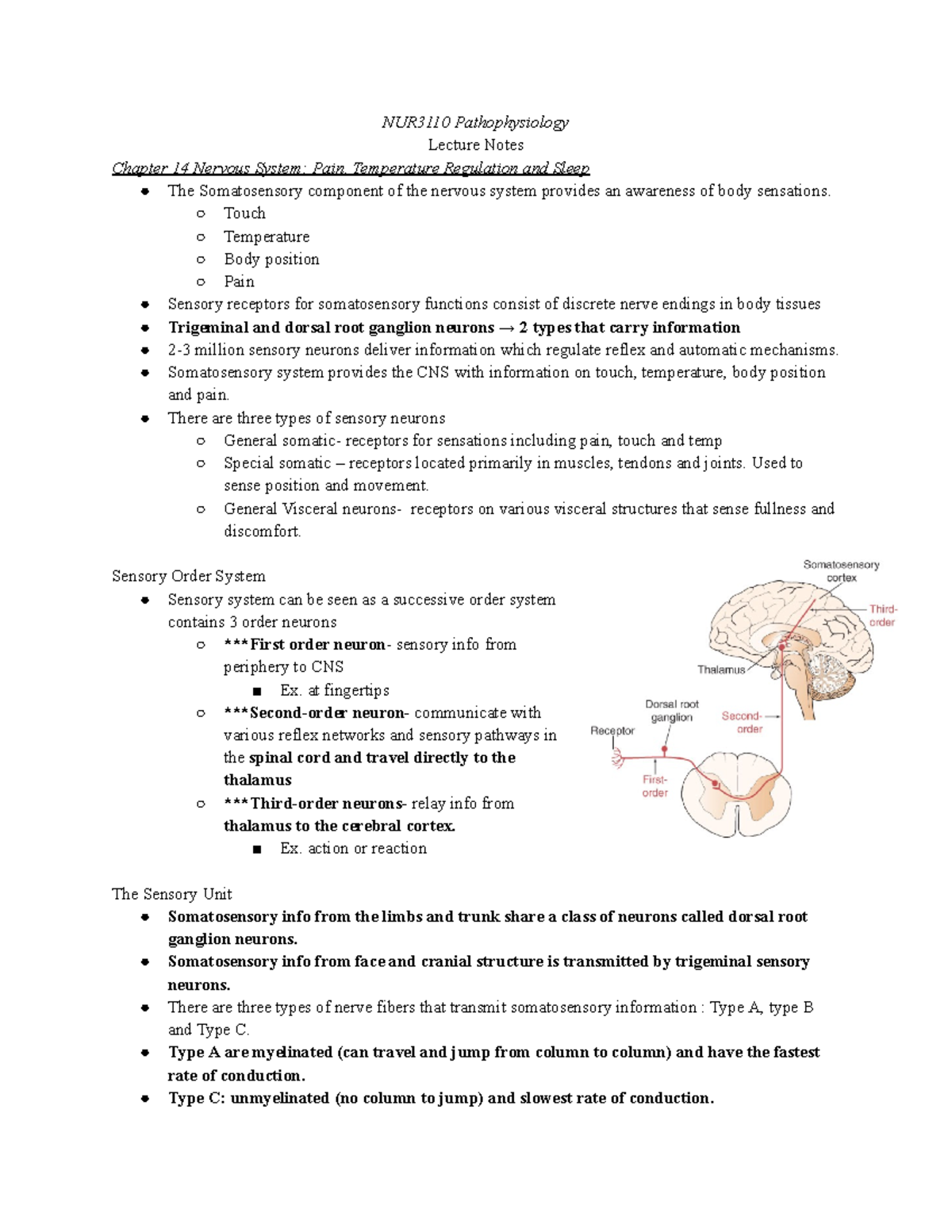 NUR3110 Pathophysiology Exam 4 - NUR3110 Pathophysiology Lecture Notes ...