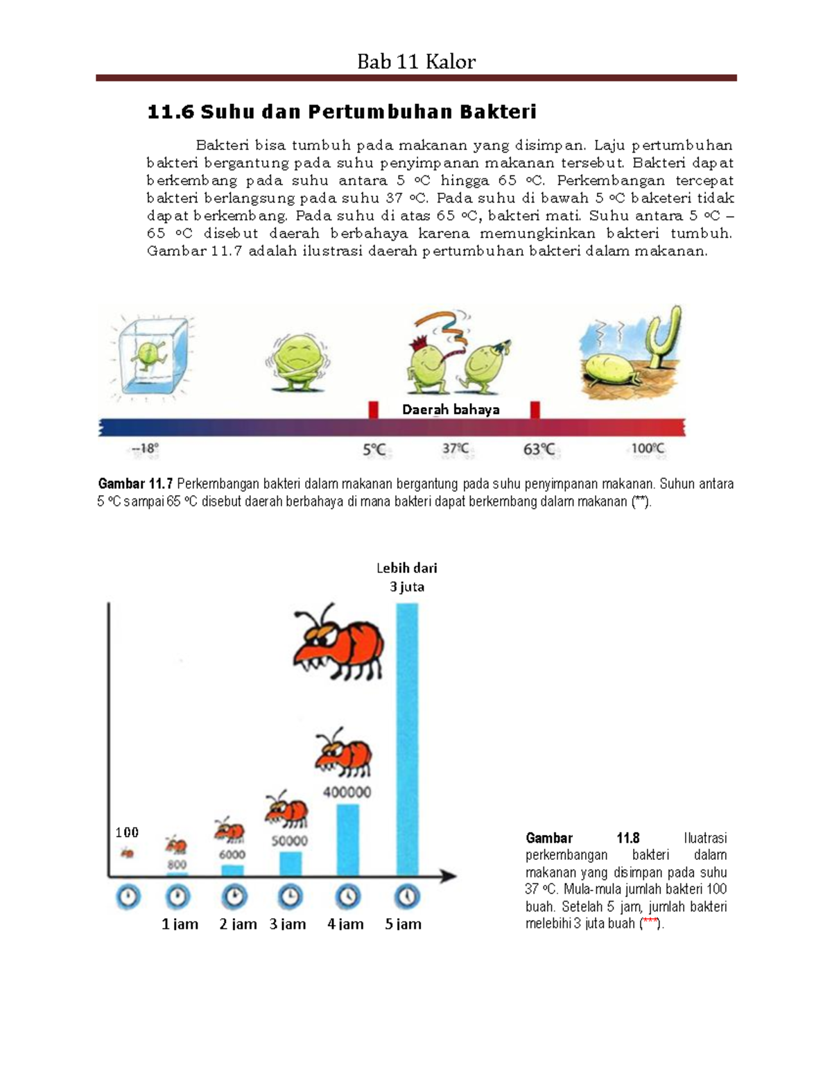 Catatan Fisika (36) - 11 Suhu Dan Pertumbuhan Bakteri Bakteri Bisa ...