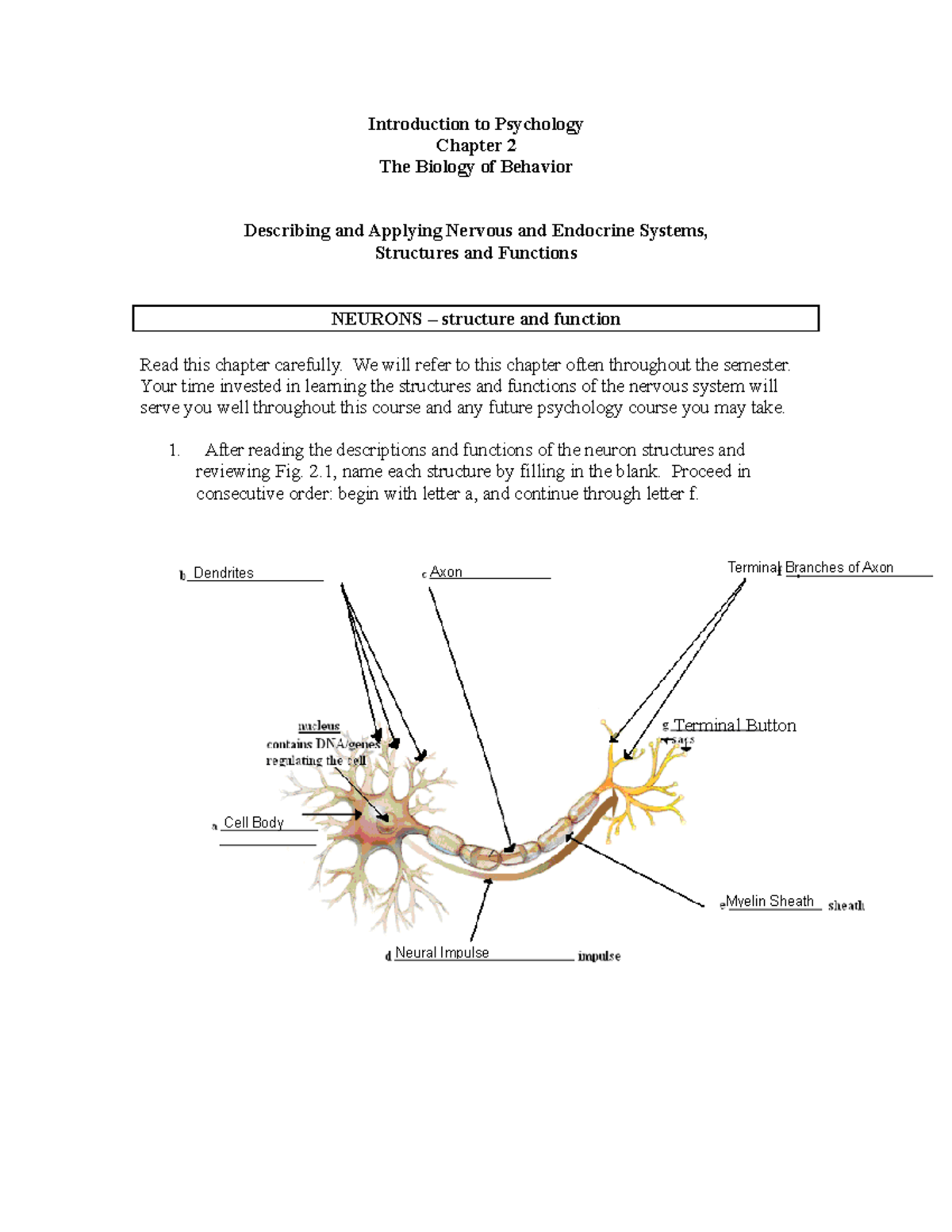 Chapter 2- The Biology Of Behavior - Introduction To Psychology Chapter ...