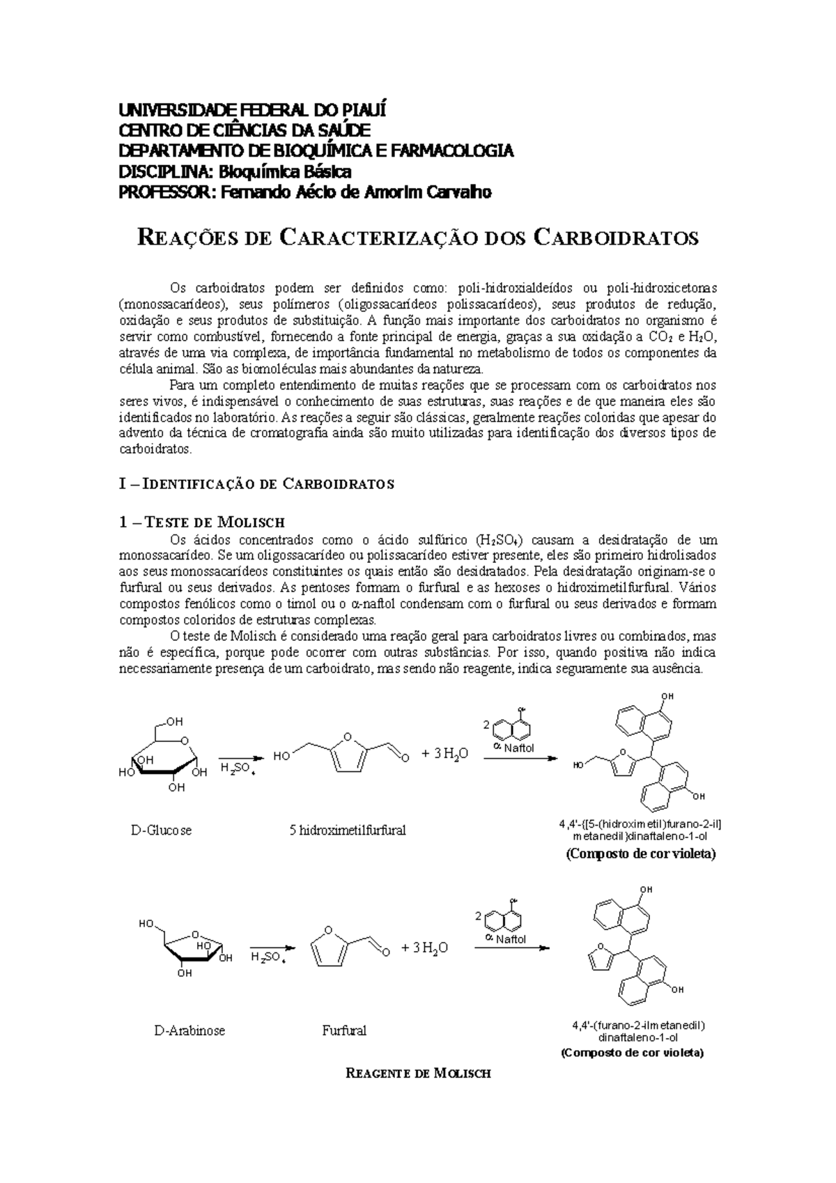 Reações de Caracterização dos Carboidratos - UNIVERSIDADE FEDERAL DO ...