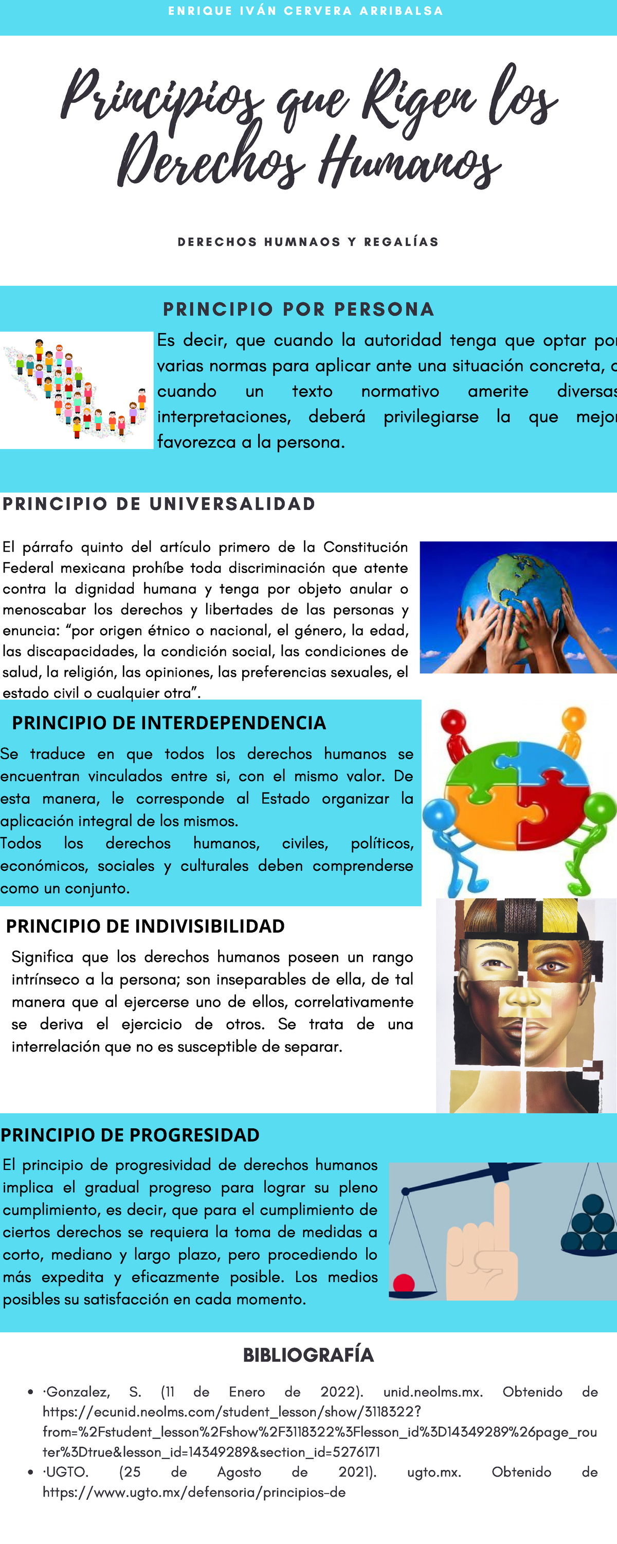 Infografía De Los Principios De Los Derechos Humanos - Se Traduce En ...