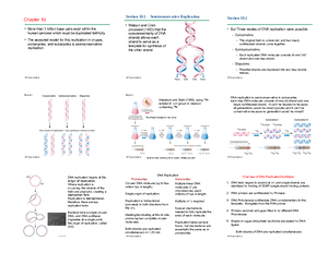 Bio 303 Chptr 7 - Compatibility Mode - © 2013 Pearson Education, Inc ...