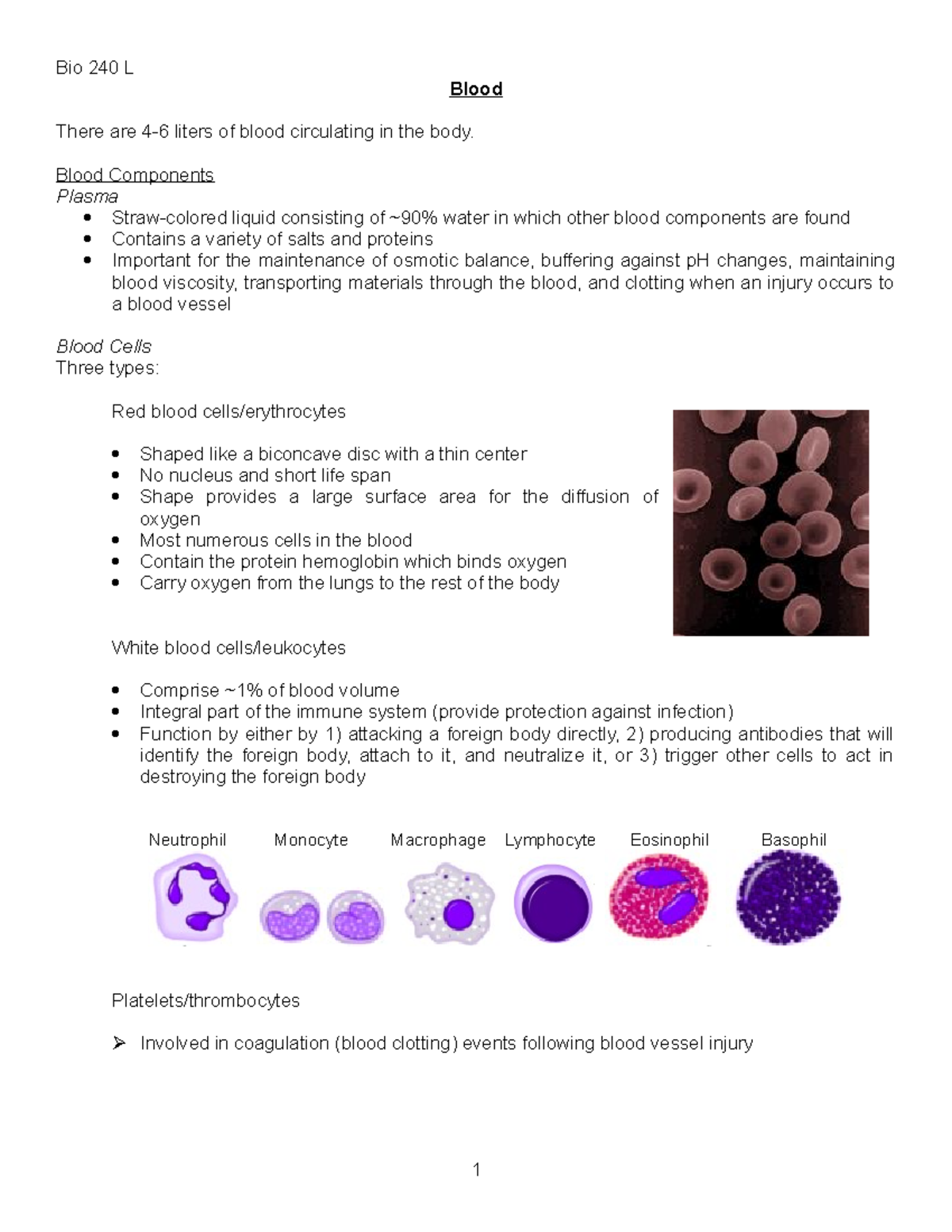 Blood - Bio 240 L Blood There are 4-6 liters of blood circulating in ...