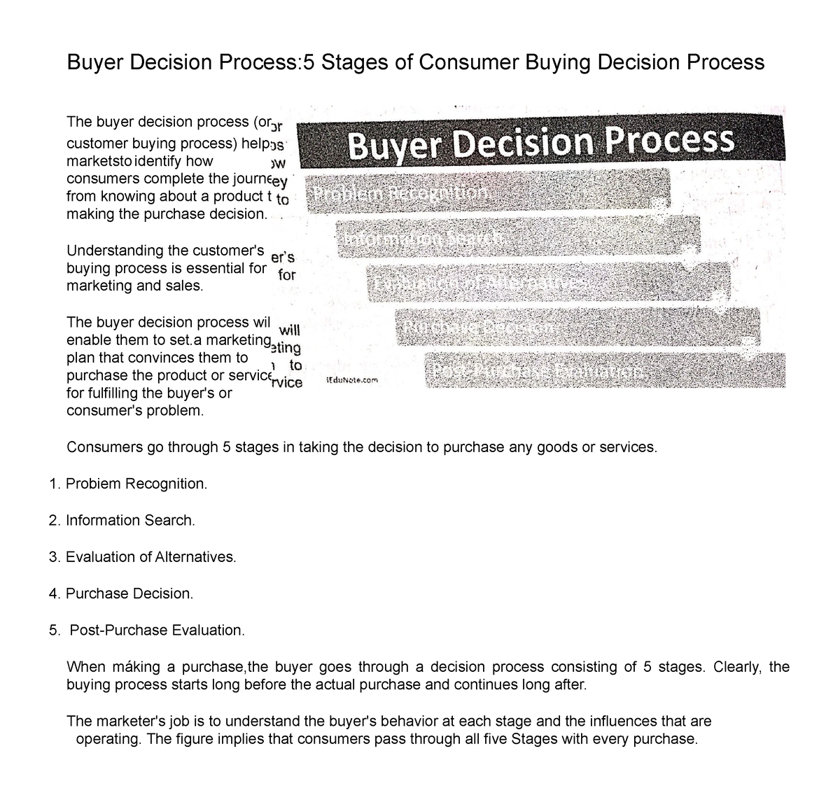 buying decision process essay