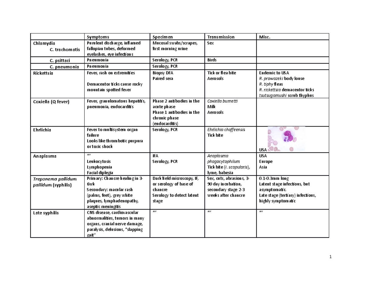 Misc. Pathogens - BIOL 400 - CSUSB - Studocu