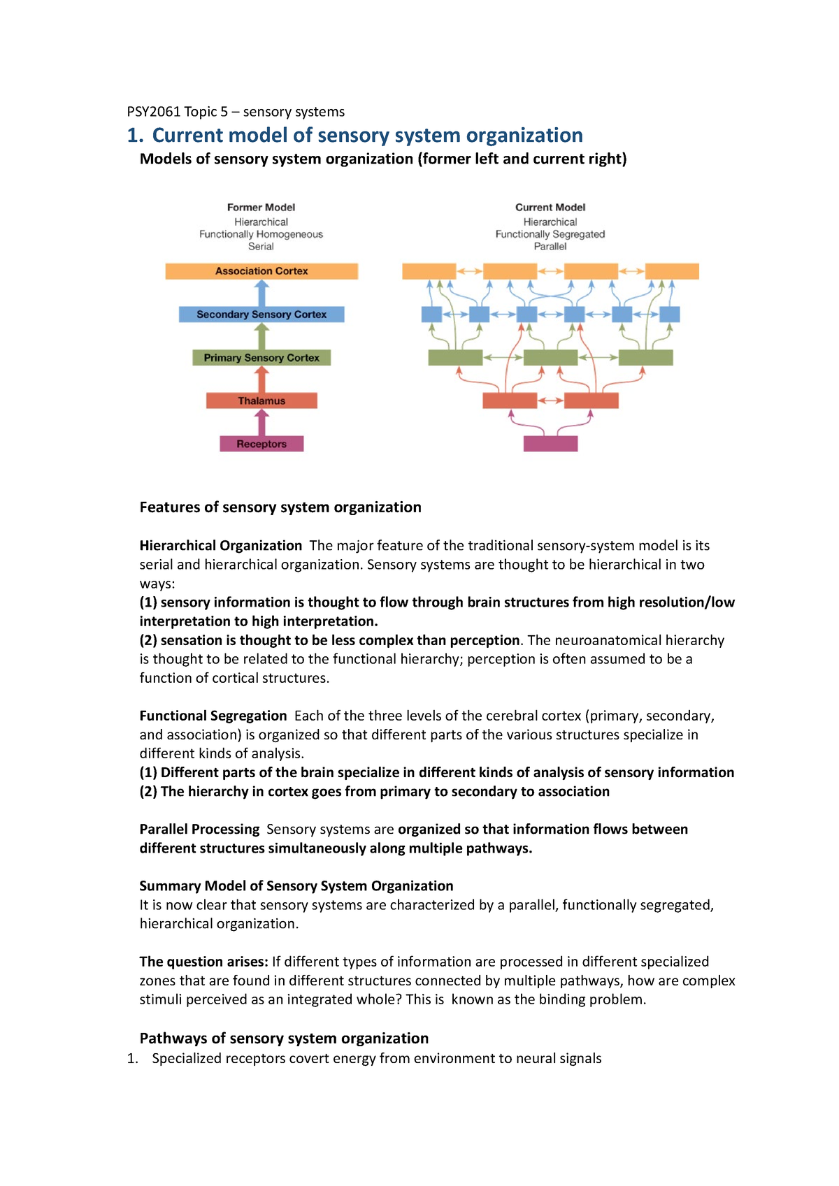 Psy Topic Current Model Of Sensory System Organization Models