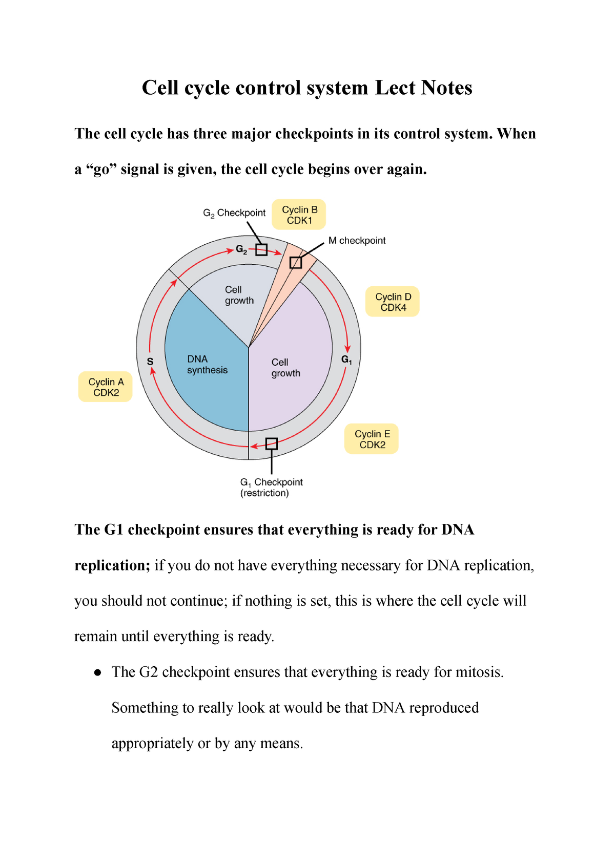 Cell Cycle Control System Lect Notes - When A “go” Signal Is Given, The ...