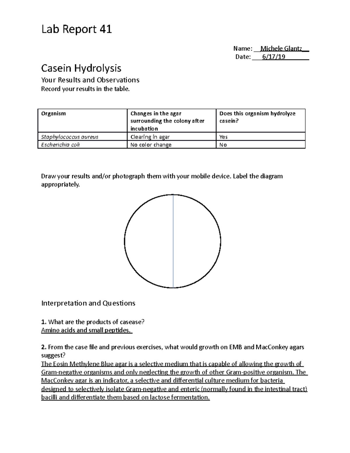Lab Exercise 41 Lab Report 41 Name Michele Glantz Date 6/17/19