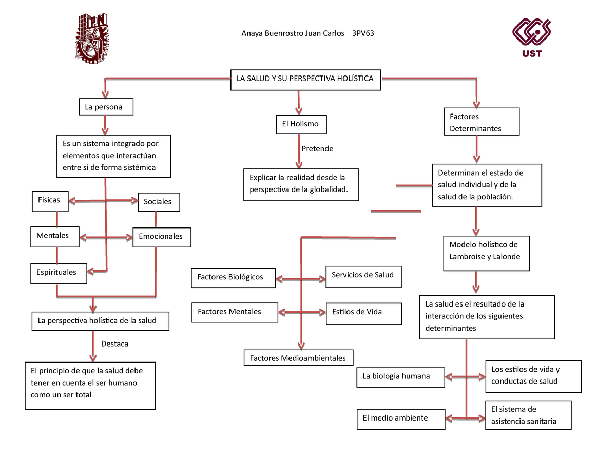 Cuadro conceptual La Salud y su Perspectiva holística - Anaya Buenrostro  Juan Carlos 3PV LA SALUD Y - Studocu