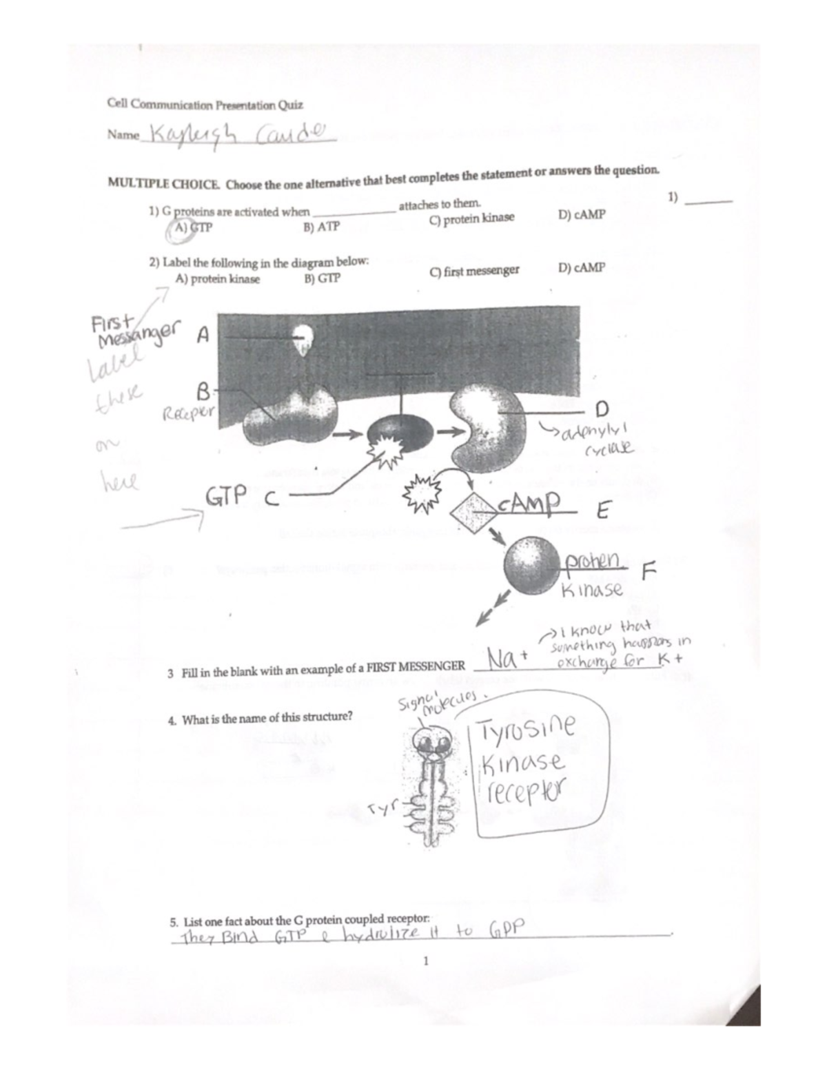 6.08 biology assignment