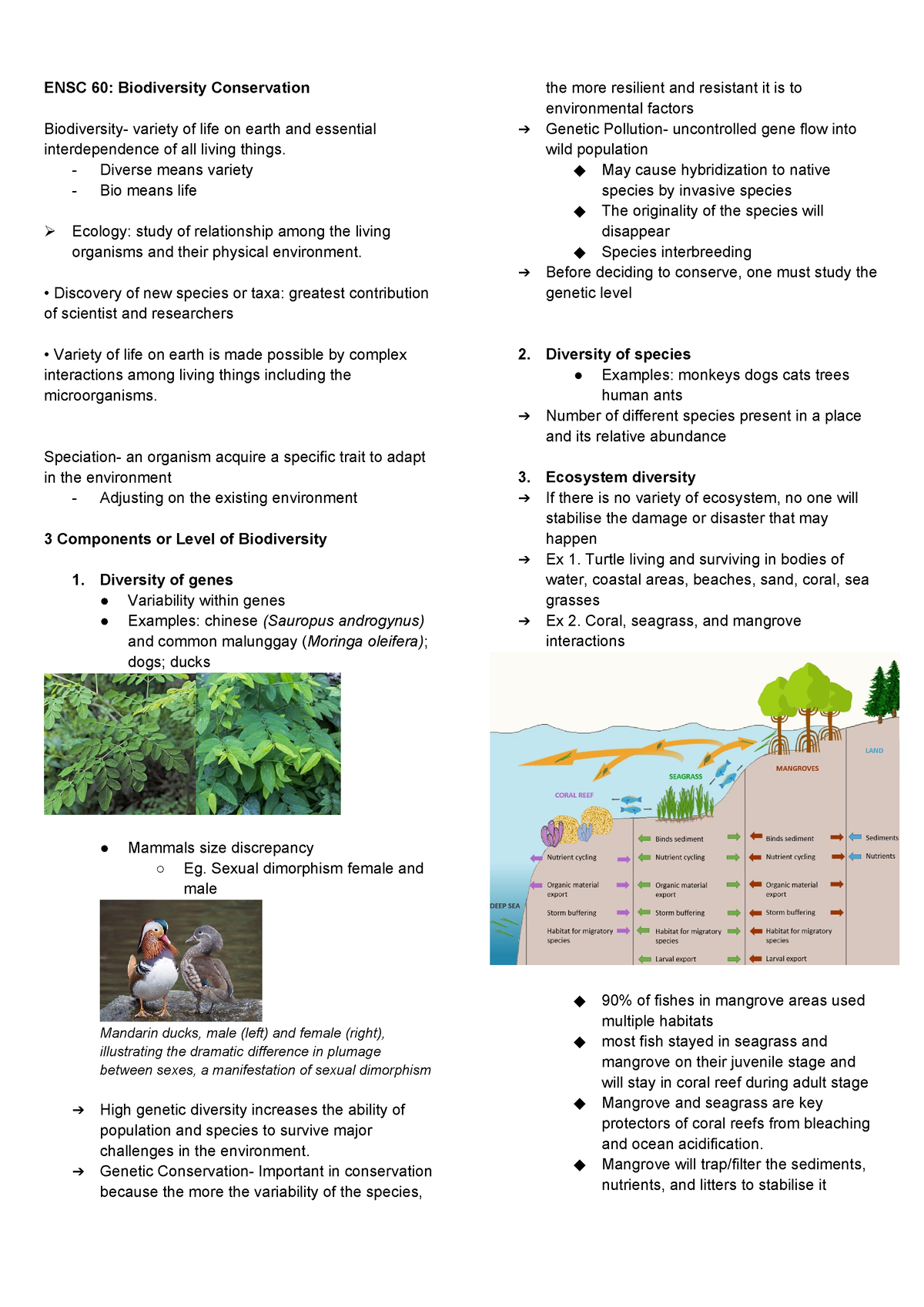 assignment on biodiversity and its conservation