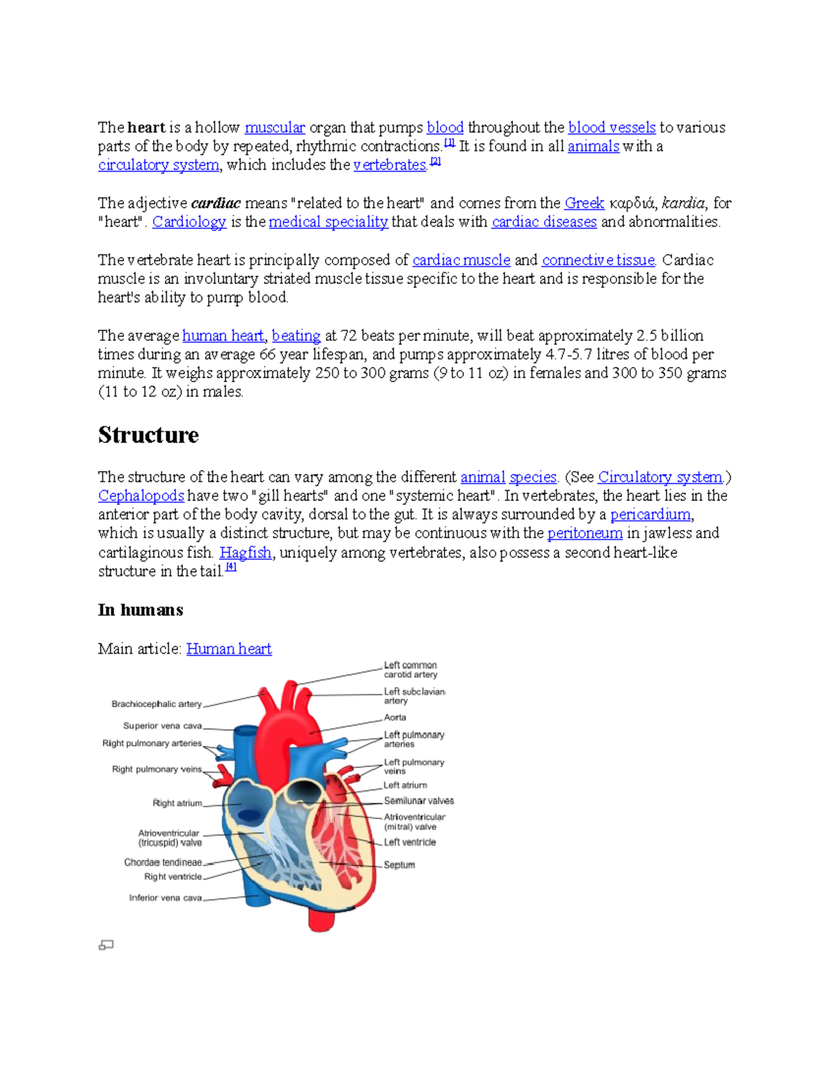 Anatomy and Physiology lecture notes -> cardiovascular system - The ...