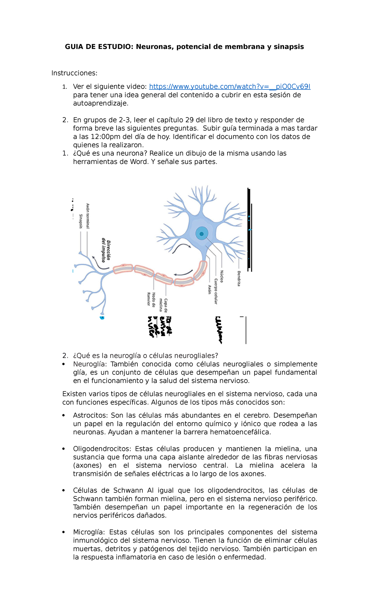 GUIA DE Estudio. Neuronas Y Potencial DE Membrana - GUIA DE ESTUDIO ...