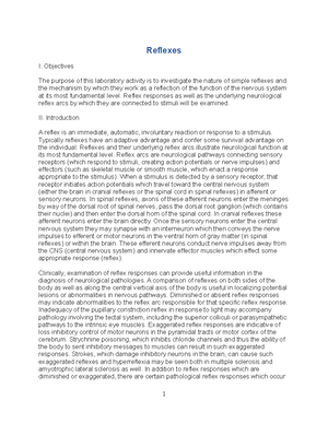 Sensoryand Reflex Lab Lastname - Sensory and Reflex Lab Data Sheet (See ...