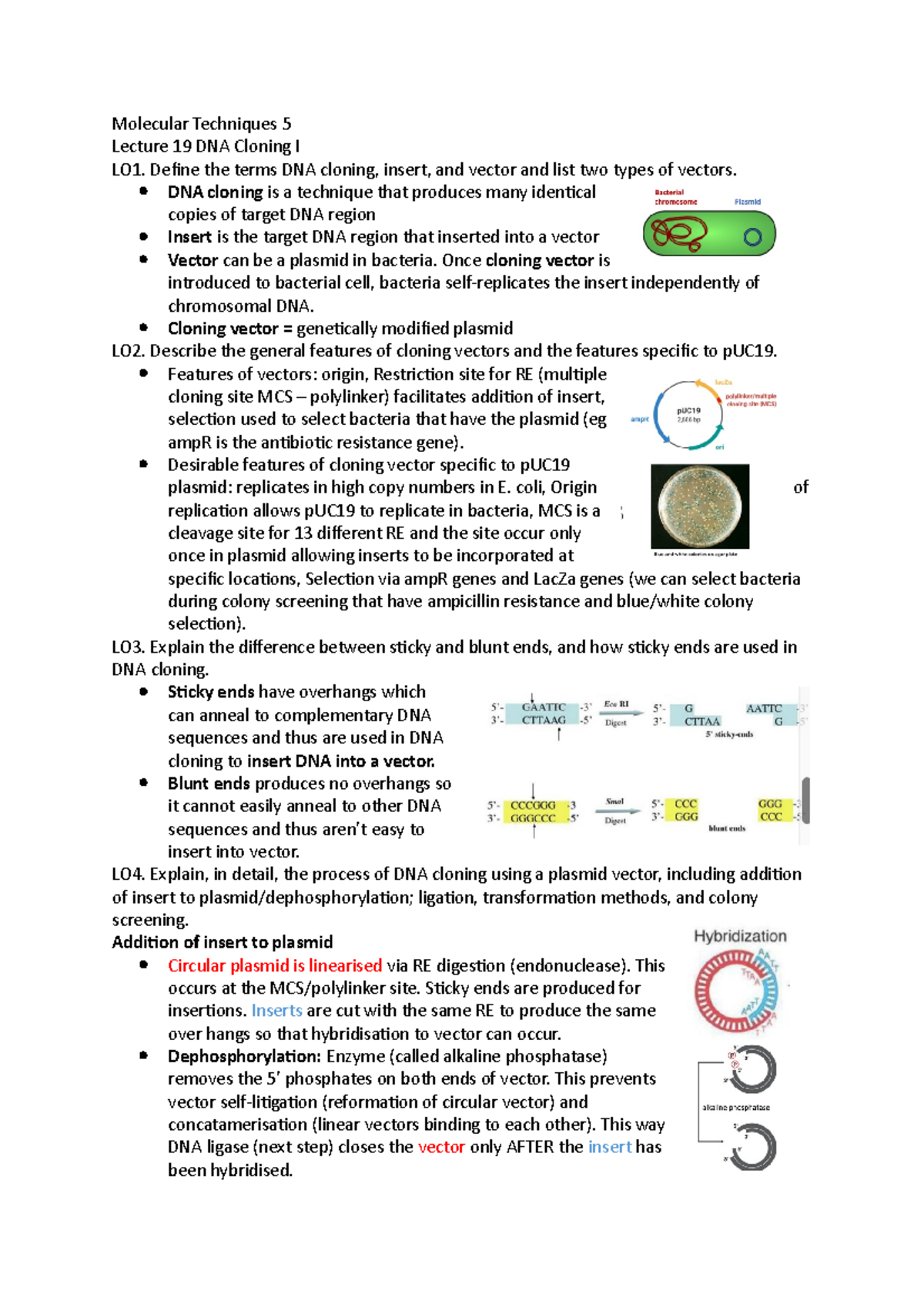 Molecular Techniques 5 Quiz Notes Molecular Techniques 5 Lecture 19