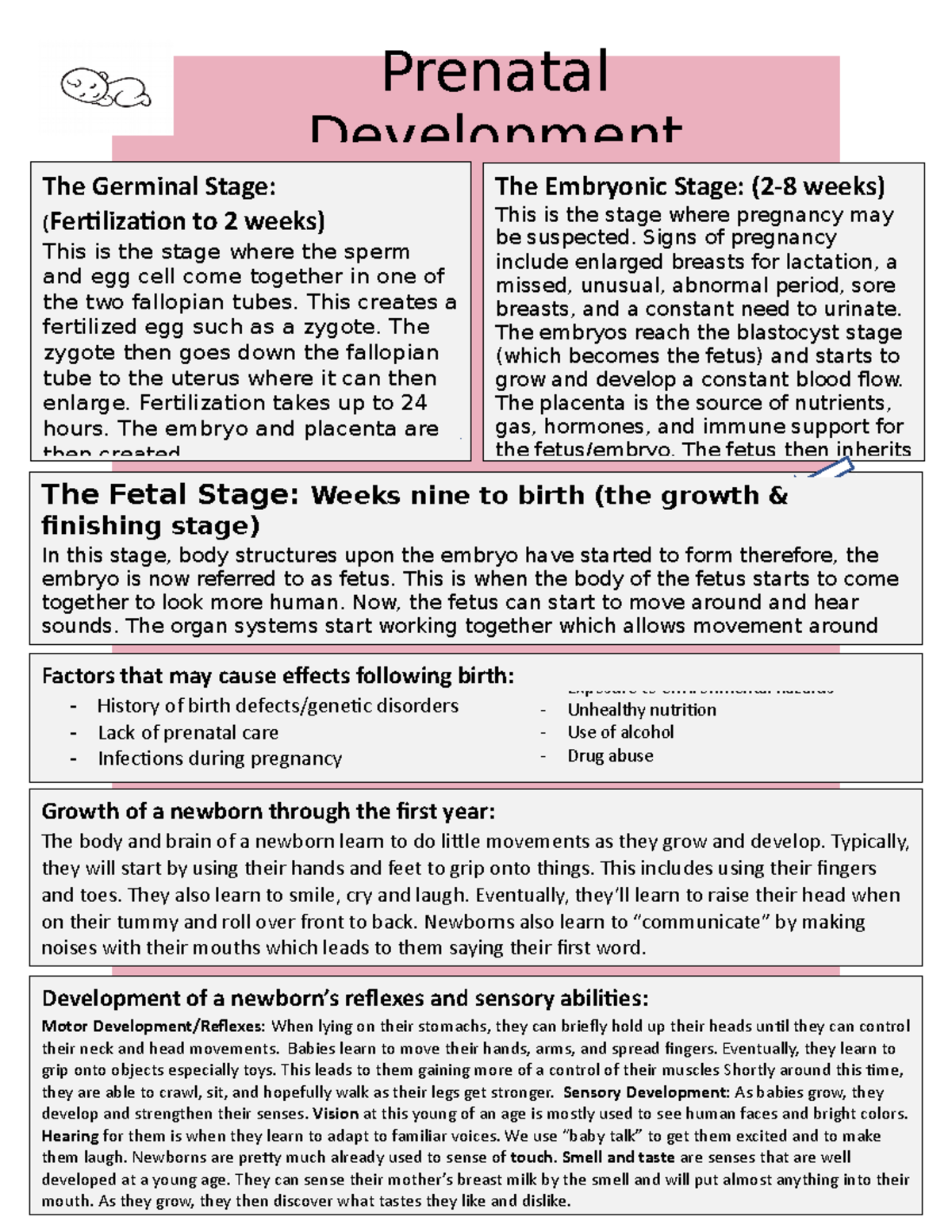 Prenatal Development assignments and coursework Prenatal Development Development of a