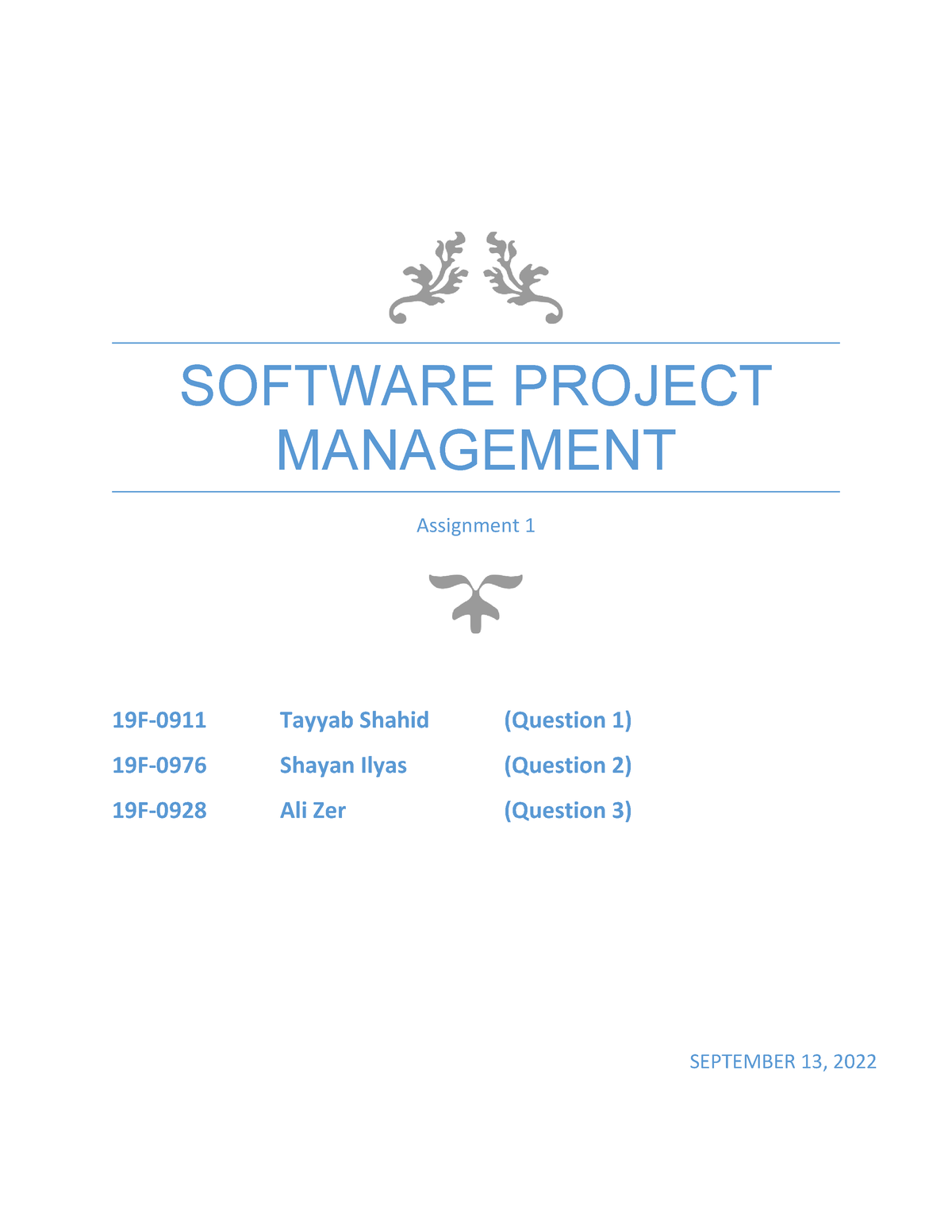 assignment on software