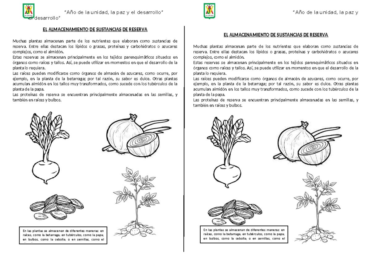 Sustancias DE Reserva Tejido Vegetales - “Año de la unidad, la paz y el