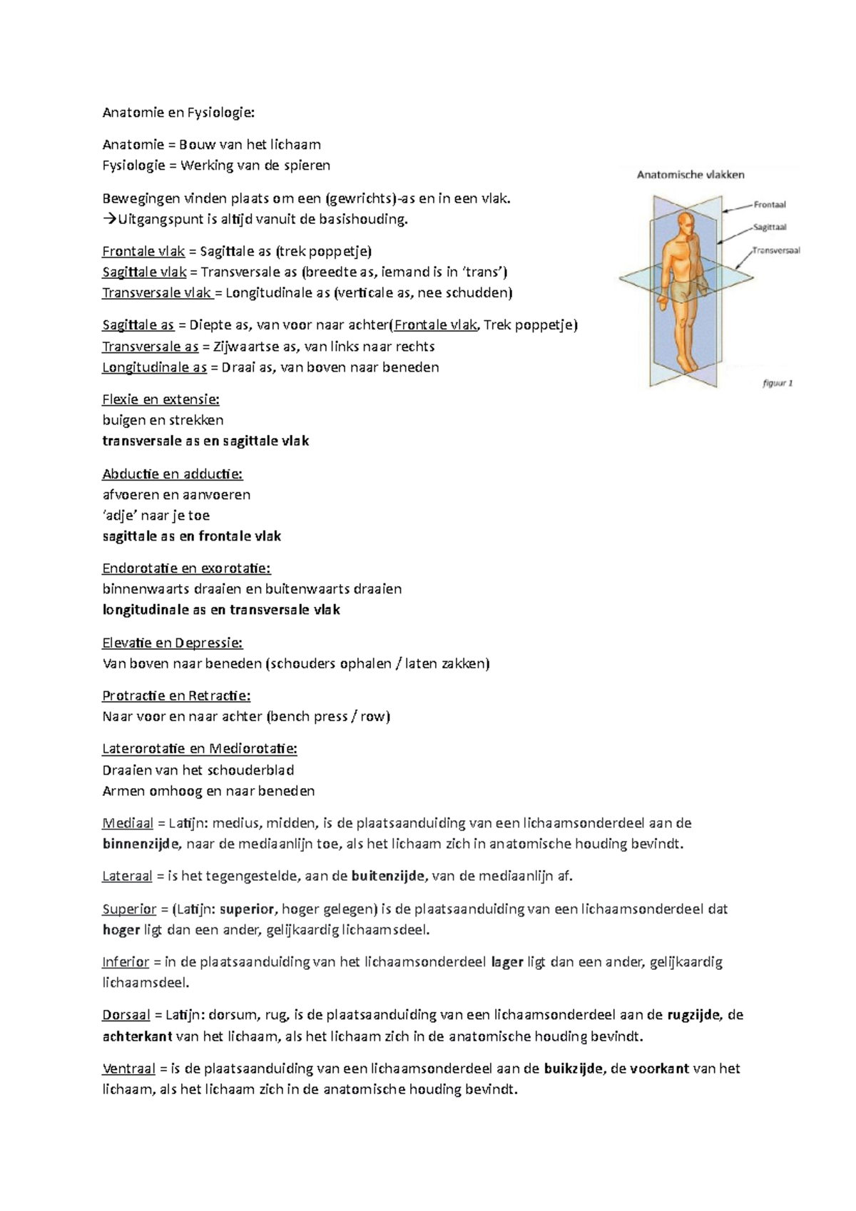 Anatomie & Fysiologie Samenvatting 2021/2022 - Anatomie En Fysiologie ...