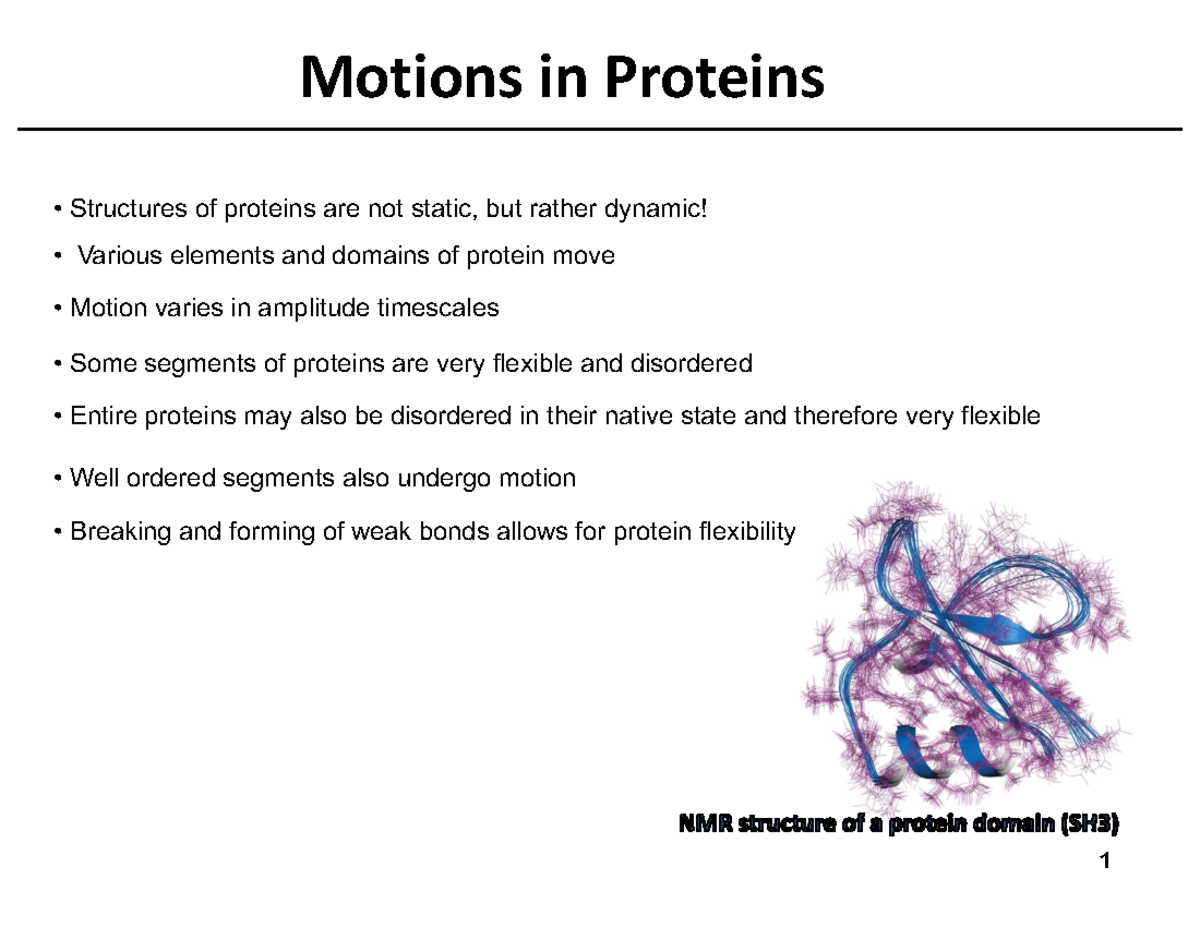 CHM361 Protein Denaturation-Protein Motion-IDPs Annotated ...