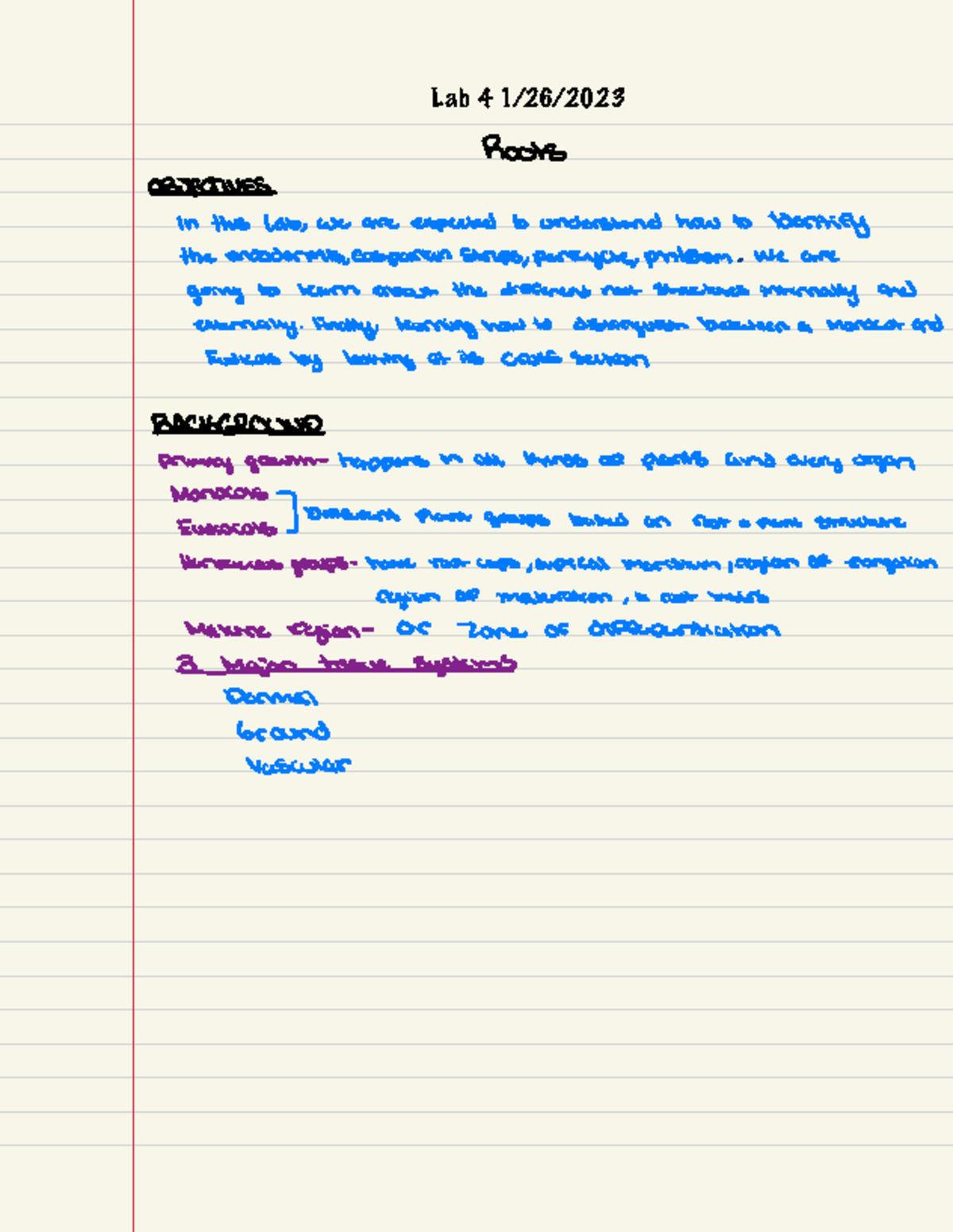 Bio 410 lab notes 4 - Lab homework 4 - Roots OBJECTIVES- In this lab ...