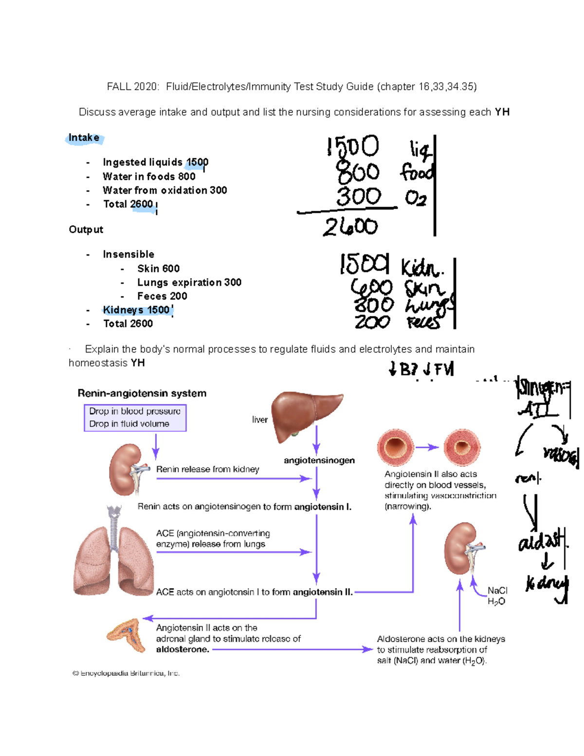 Fluid Electrolytes Immunity Test Study Guide - FALL 2020: Fluid ...