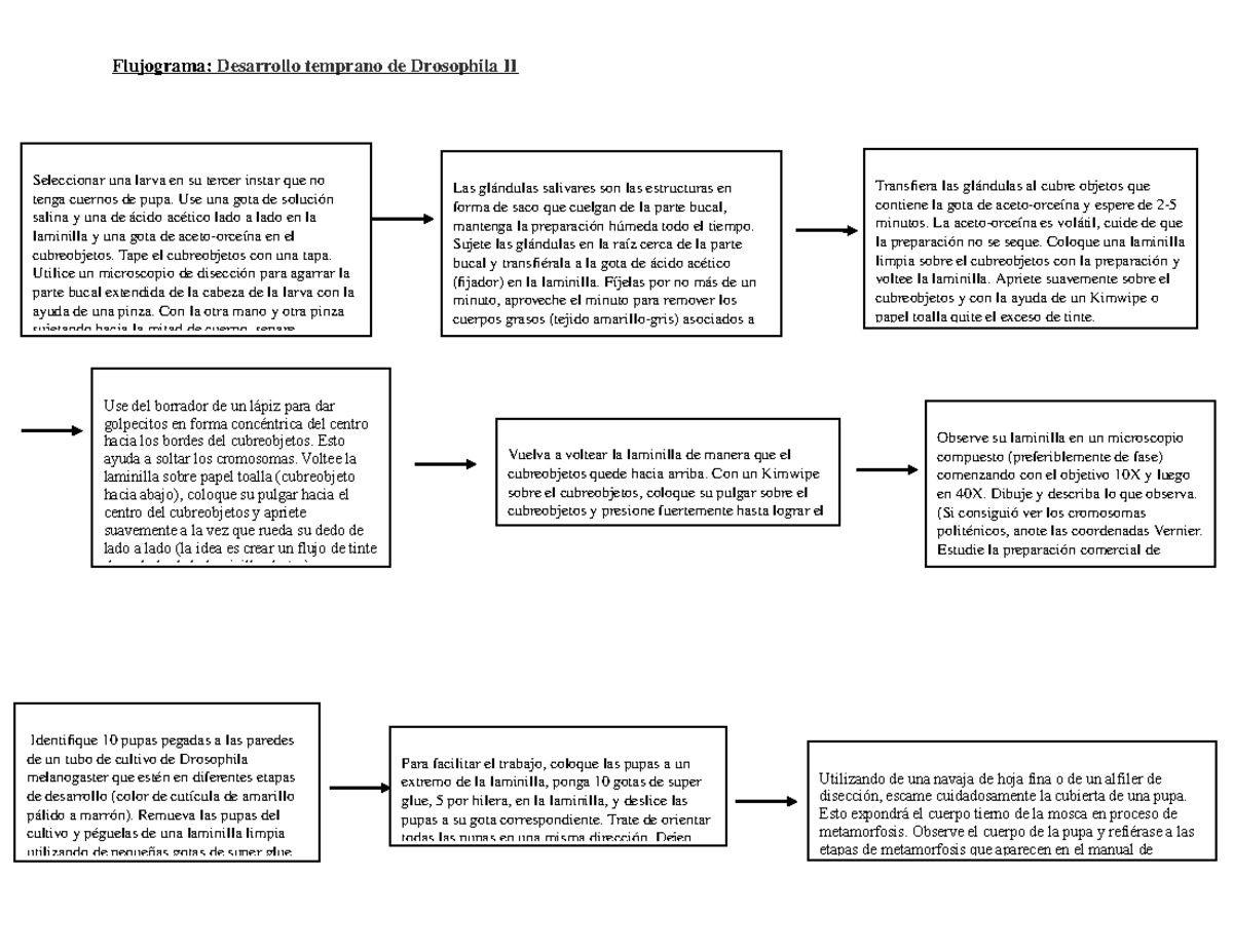 Flujograma Desarrollo Temprano De Flujograma Drosophila Ii Studocu