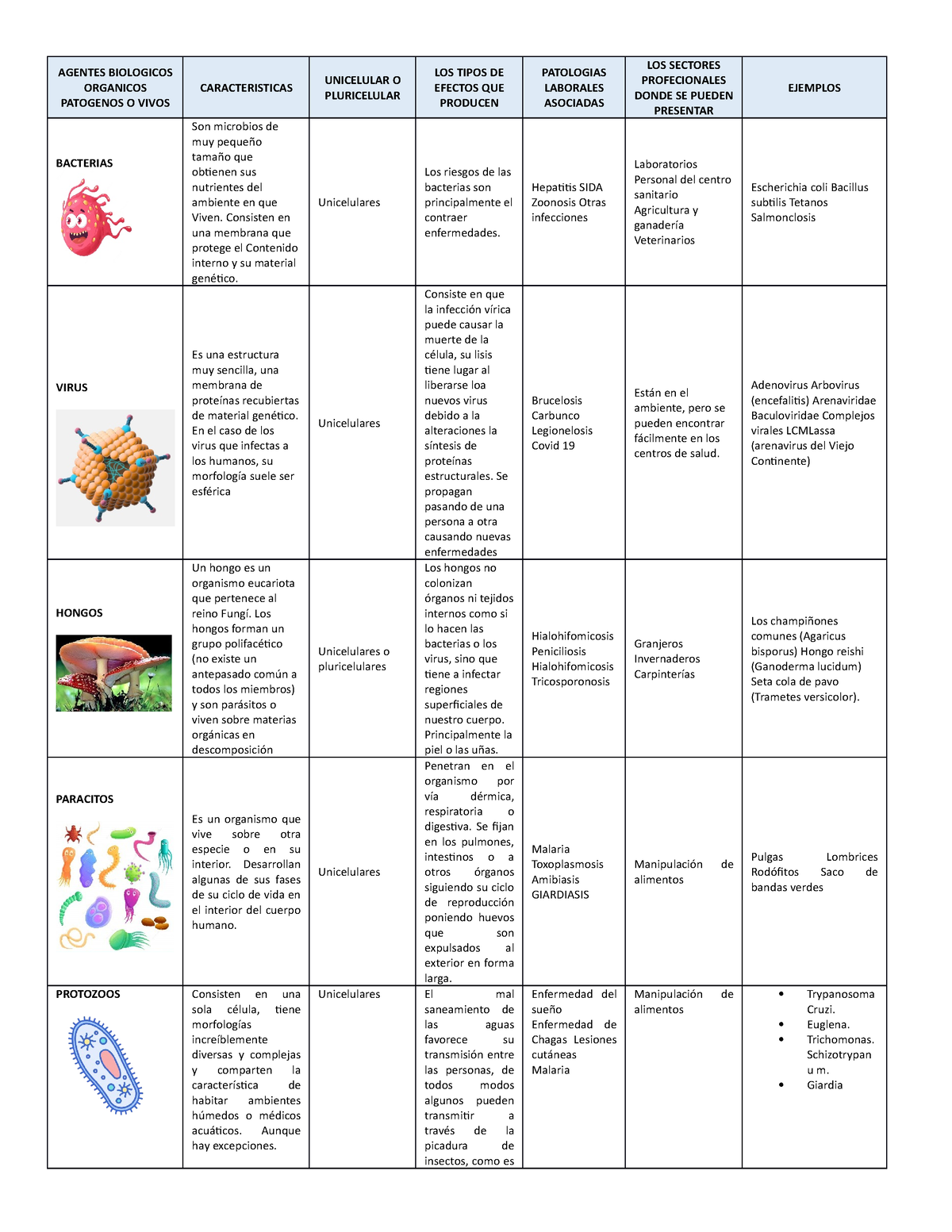 Cuadro Comparativo Agentes Biologicos Organicos Patogenos O Vivos The Best Porn Website 9381