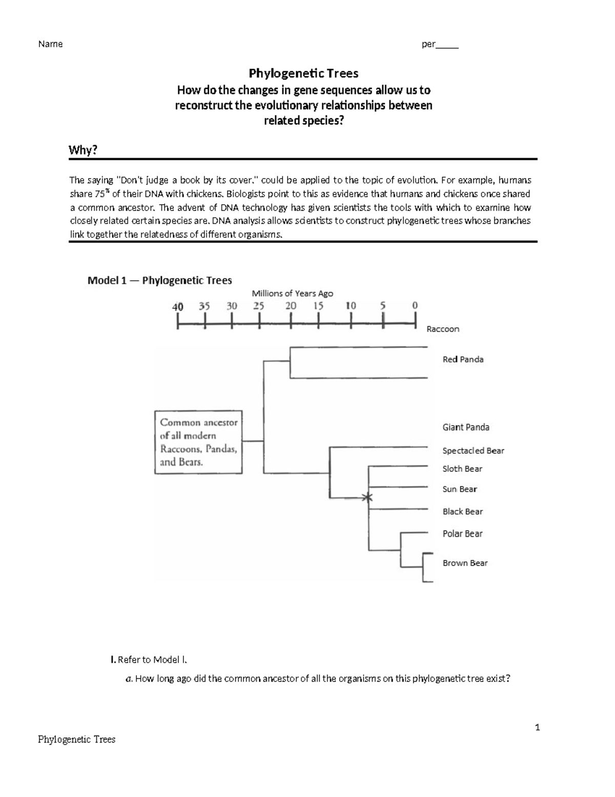 Gene Expression Made Easy: This Pogil Proves It! - 0qm3liq