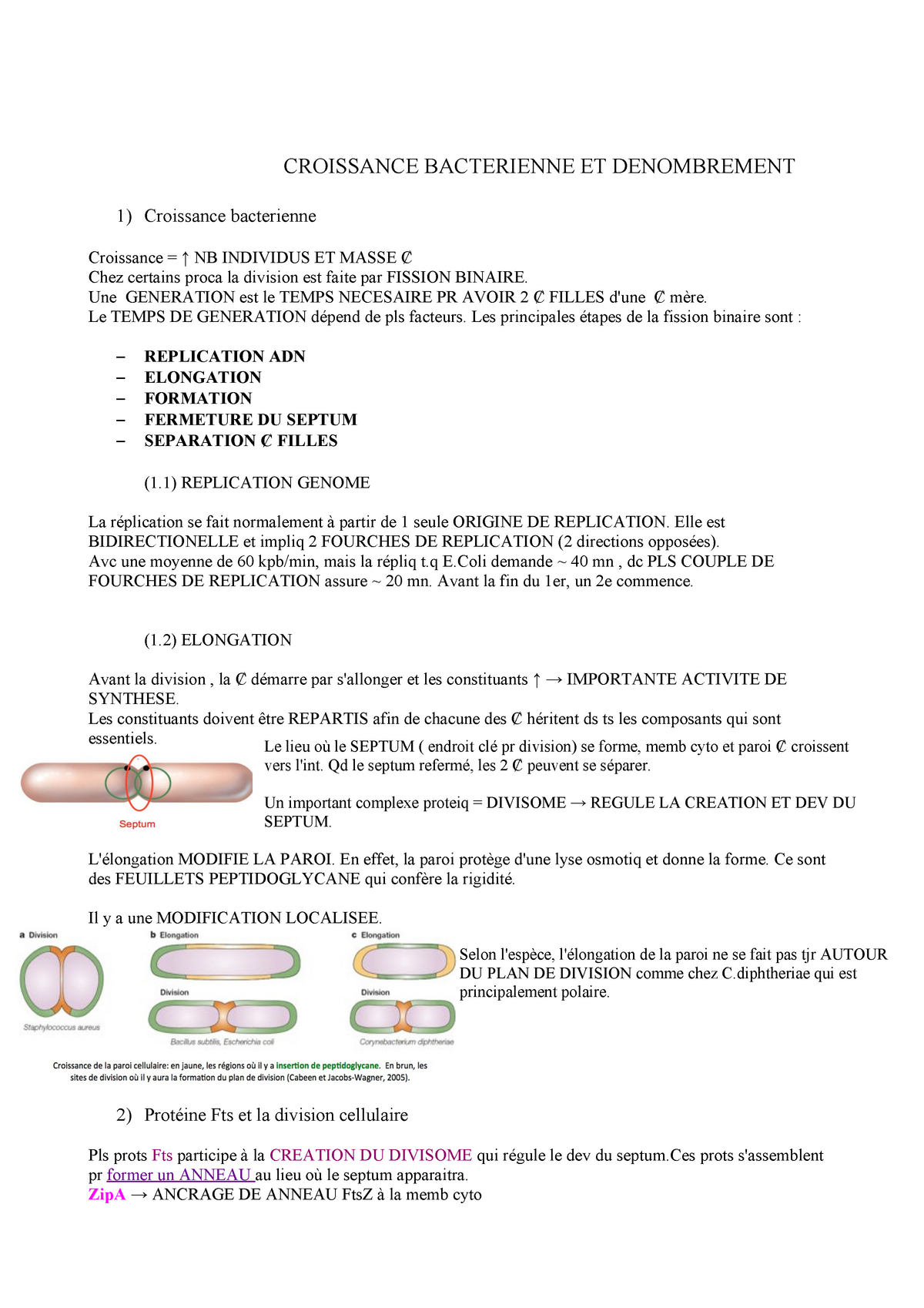 Croissance Bactérienne - • CHAPITRE 3 : CROISSANCE BACTERIENNE ET ...