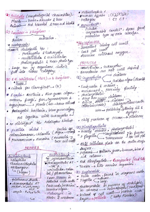 Morphology and anatomy of cockroach-NEET aspirants - Plus two science ...