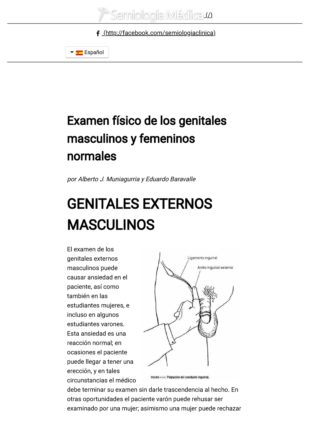 Examen Físico De Los Genitales Masculinos Y Femeninos Normales Examen Físico De Los 3392