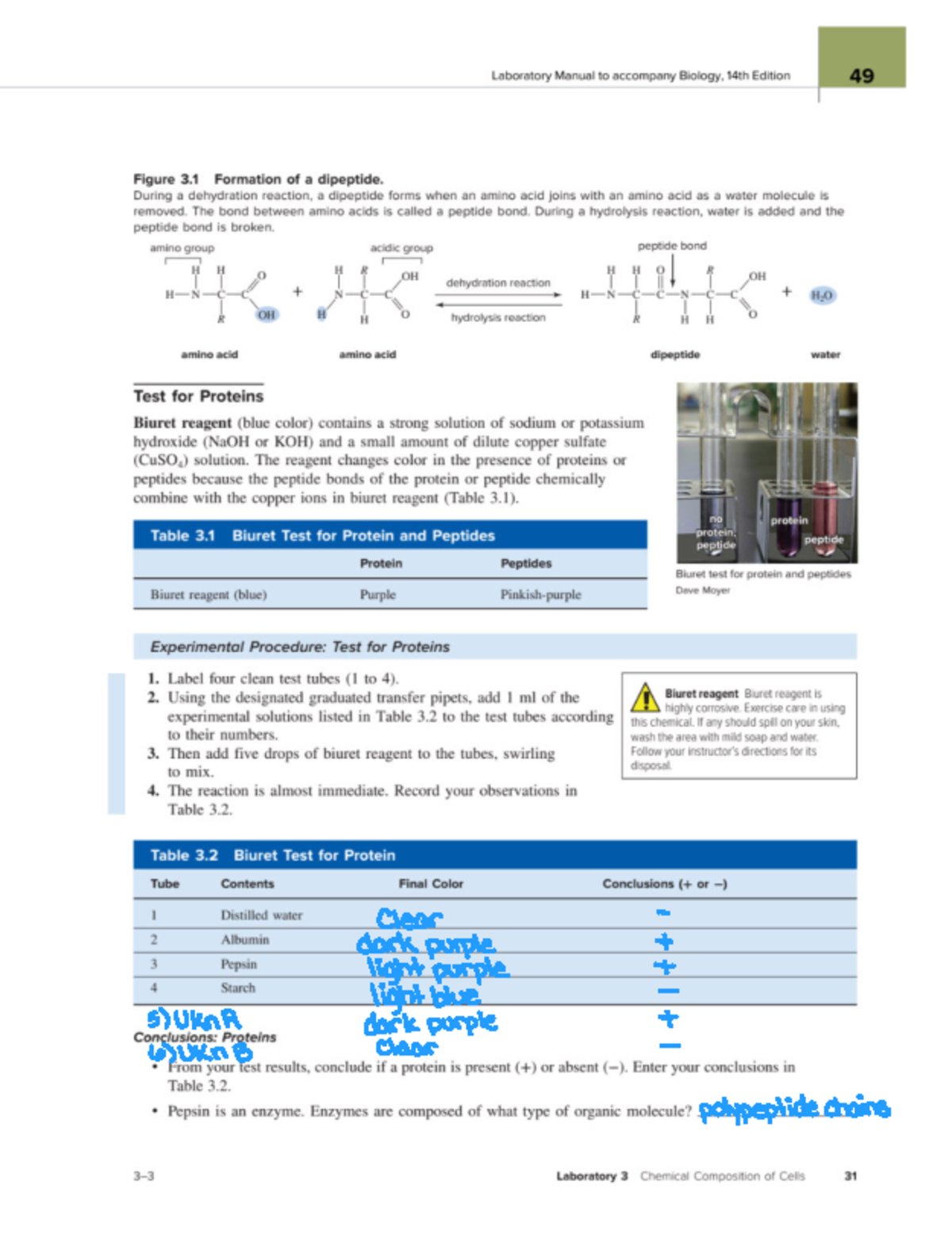 Chemical Composition of Cells Lab Clear dark purple I light I purple