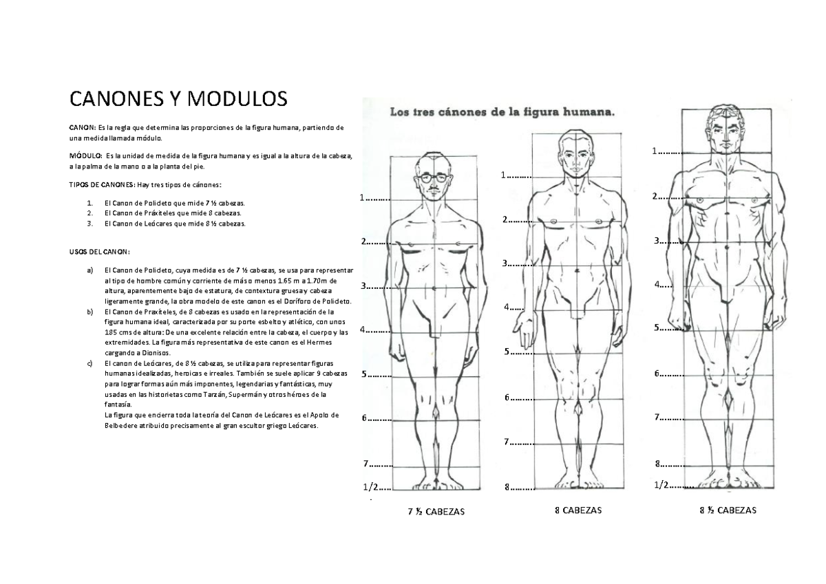 Cánones Y Módulos 3er año - CANONES Y MODULOS CANON: Es la regla que ...