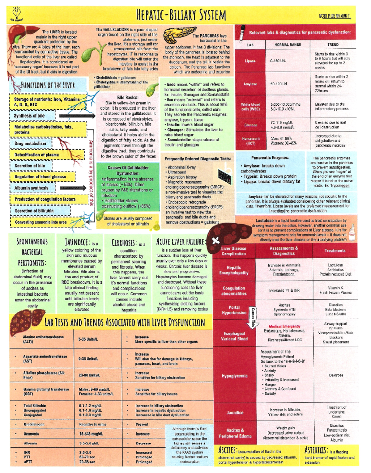GI handouts - Gastrointestinal handout - SYSTEM NORSE IT LIKE YOU MEAN ...